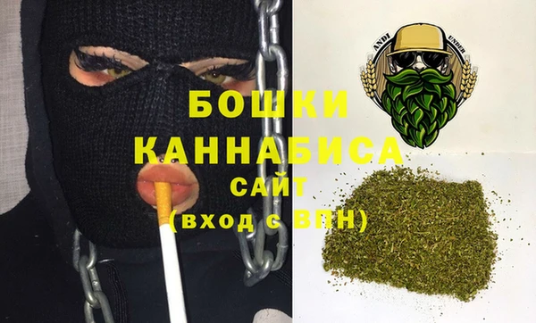 ПСИЛОЦИБИНОВЫЕ ГРИБЫ Вязьма
