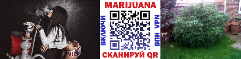 Марихуана SATIVA & INDICA  продажа наркотиков  Кисловодск 